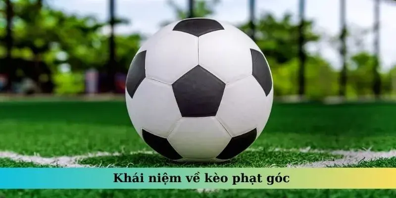 khái niệm kèo phạt góc 