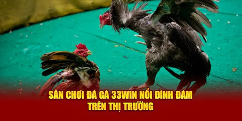 Những điểm mạnh khi thành viên tham gia sảnh đá kê